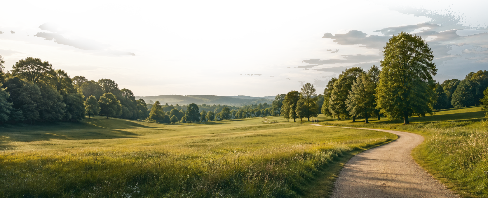 A winding path through green meadows and mature trees